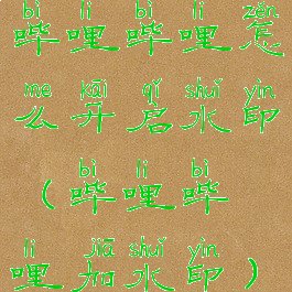 哔哩哔哩怎么开启水印(哔哩哔哩加水印)