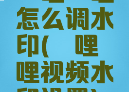 哔哩哔哩怎么调水印(哔哩哔哩视频水印设置)