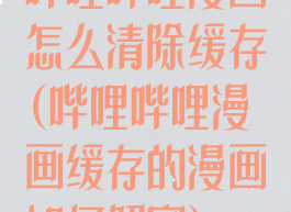 哔哩哔哩漫画怎么清除缓存(哔哩哔哩漫画缓存的漫画如何解密)