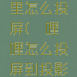哔哩哔哩里怎么投屏(哔哩哔哩怎么投屏到投影仪)