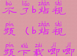 唧唧下载不了b站视频(b站视频下载唧唧)