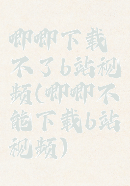 唧唧下载不了b站视频(唧唧不能下载b站视频)