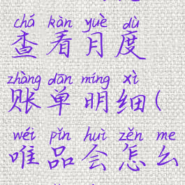 唯品会怎么查看月度账单明细(唯品会怎么看总账单)