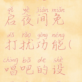 唱吧怎么开启夜间免打扰功能(唱吧的设置在哪里)