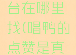 唱鸭点歌台在哪里找(唱鸭的点赞是真的吗?)