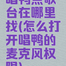 唱鸭点歌台在哪里找(怎么打开唱鸭的麦克风权限)