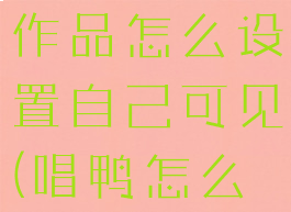唱鸭发布的作品怎么设置自己可见(唱鸭怎么上传作品)