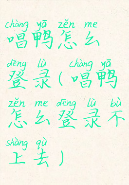 唱鸭怎么登录(唱鸭怎么登录不上去)