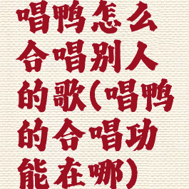 唱鸭怎么合唱别人的歌(唱鸭的合唱功能在哪)