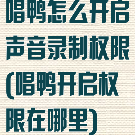 唱鸭怎么开启声音录制权限(唱鸭开启权限在哪里)