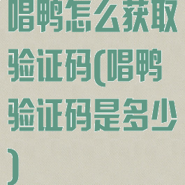 唱鸭怎么获取验证码(唱鸭验证码是多少)