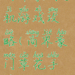 商界豪门手机游戏攻略(商界豪门草花手游)