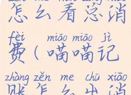 喵喵记账怎么看总消费(喵喵记账怎么出消费的账单)