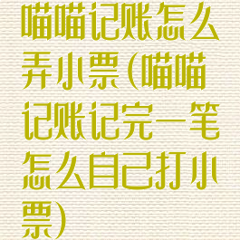 喵喵记账怎么弄小票(喵喵记账记完一笔怎么自己打小票)