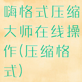 嗨格式压缩大师在线操作(压缩格式)
