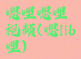 嗯哩嗯哩视频(嗯lib哩)