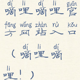 嘀哩嘀哩官方网站入口(嘀哩嘀哩!)