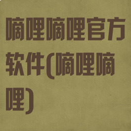 嘀哩嘀哩官方软件(嘀哩嘀哩)