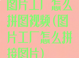 图片工厂怎么拼图视频(图片工厂怎么拼接图片)
