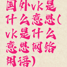 国外vk是什么意思(vk是什么意思网络用语)