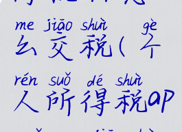 在个人所得税app怎么交税(个人所得税app怎么交税款)