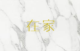 在家