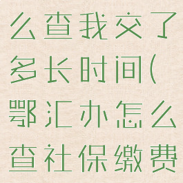 在鄂汇办怎么查我交了多长时间(鄂汇办怎么查社保缴费信息)