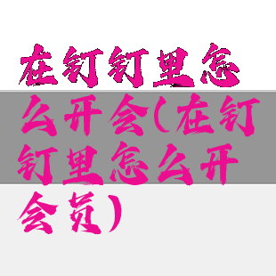 在钉钉里怎么开会(在钉钉里怎么开会员)