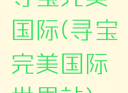 寻宝完美国际(寻宝完美国际世界站)
