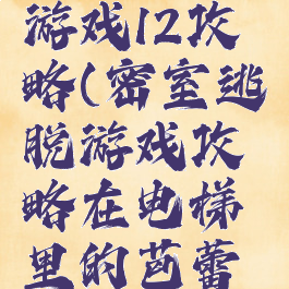 密室逃脱游戏12攻略(密室逃脱游戏攻略在电梯里的芭蕾舞者)