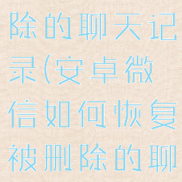 安卓微信如何恢复被删除的聊天记录(安卓微信如何恢复被删除的聊天记录图片)