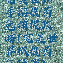 完美世界手游捣药兔捕捉攻略(完美世界抓捣药兔位置)