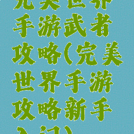 完美世界手游武者攻略(完美世界手游攻略新手入门)