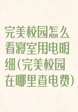 完美校园怎么看寝室用电明细(完美校园在哪里查电费)