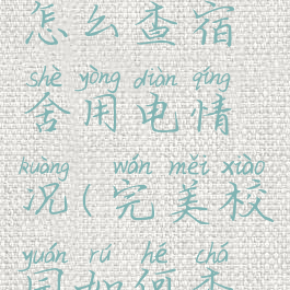 完美校园怎么查宿舍用电情况(完美校园如何查宿舍电费)