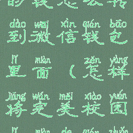 完美校园里的钱怎么转到微信钱包里面(怎样将完美校园里面的钱转入卡中)