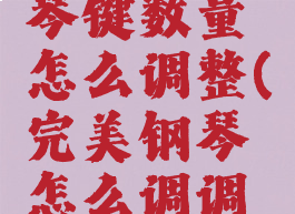 完美钢琴琴键数量怎么调整(完美钢琴怎么调调号)