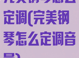 完美钢琴怎么定调(完美钢琴怎么定调音量)