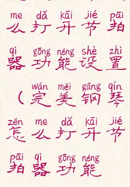 完美钢琴怎么打开节拍器功能设置(完美钢琴怎么打开节拍器功能设置教程)