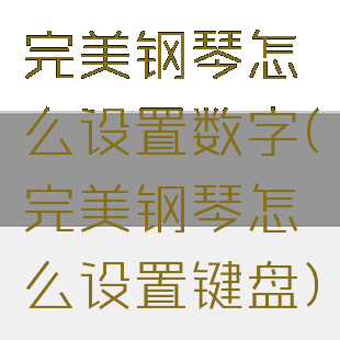 完美钢琴怎么设置数字(完美钢琴怎么设置键盘)