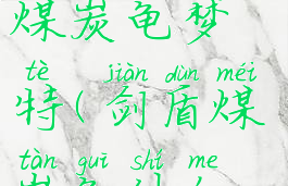 宝可梦剑盾煤炭龟梦特(剑盾煤炭龟什么性格好)