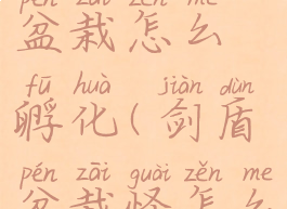 宝可梦剑盾盆栽怎么孵化(剑盾盆栽怪怎么生)