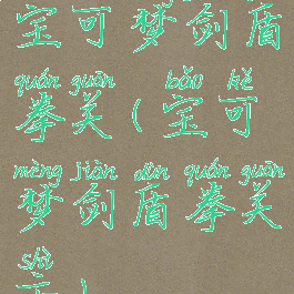 宝可梦剑盾拳关(宝可梦剑盾拳关市)