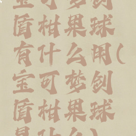 宝可梦剑盾柑果球有什么用(宝可梦剑盾柑果球是什么)