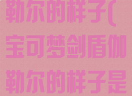 宝可梦剑盾迦勒尔的样子(宝可梦剑盾伽勒尔的样子是什么意思)