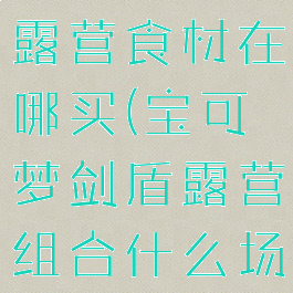 宝可梦剑盾露营食材在哪买(宝可梦剑盾露营组合什么场合用)