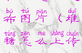 堆糖怎么发布图片(堆糖怎么上传视频)