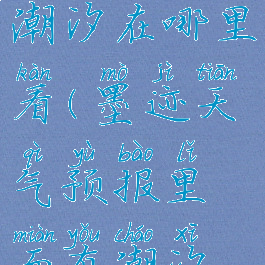 墨迹天气潮汐在哪里看(墨迹天气预报里面有潮汐预报吗)