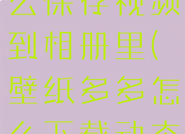 壁纸多多怎么保存视频到相册里(壁纸多多怎么下载动态壁纸)