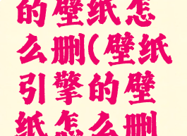 壁纸引擎的壁纸怎么删(壁纸引擎的壁纸怎么删除掉)